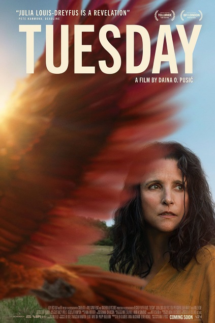 Tuesday (2023)